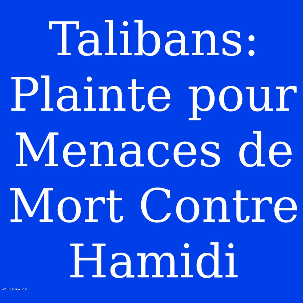 Talibans: Plainte Pour Menaces De Mort Contre Hamidi