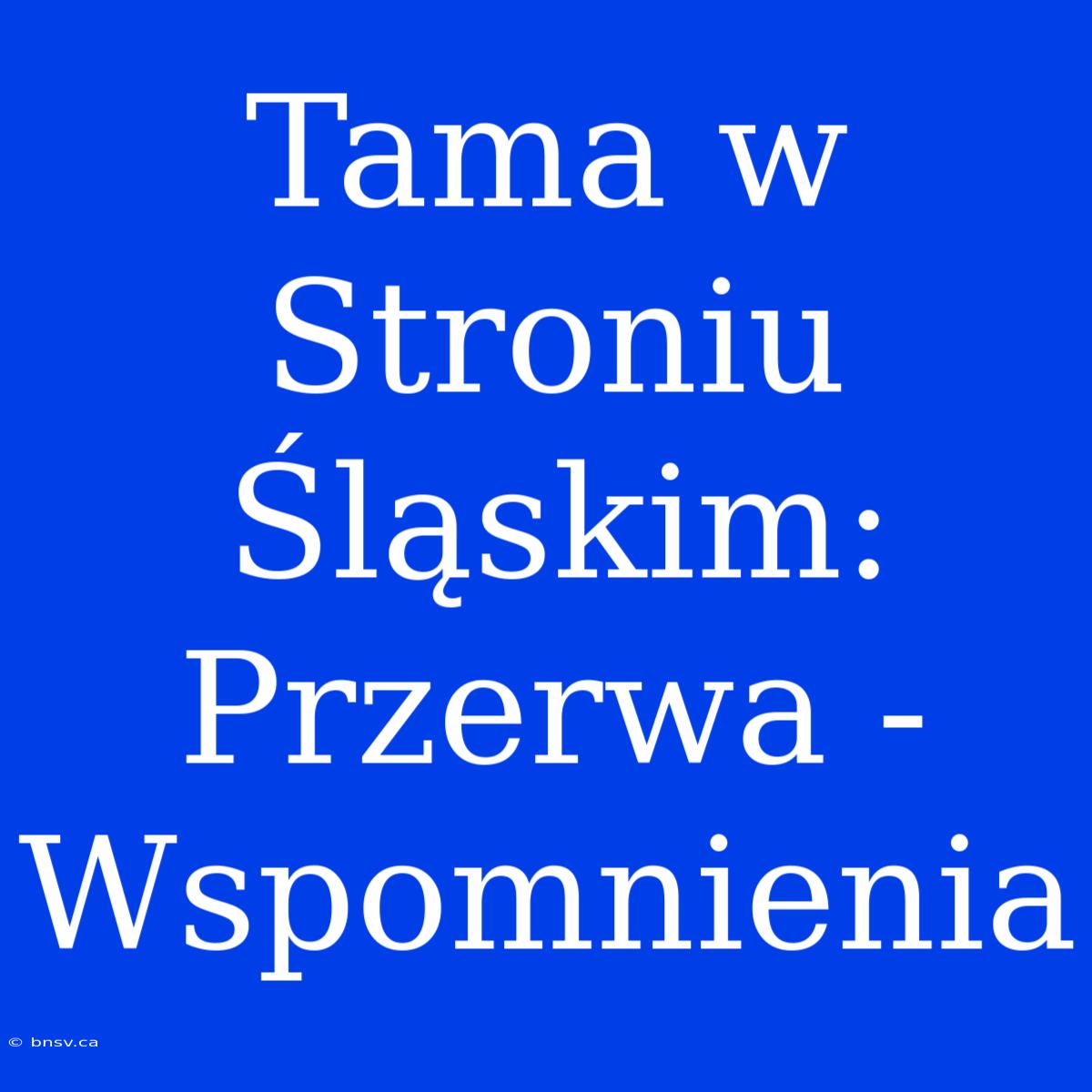 Tama W Stroniu Śląskim: Przerwa - Wspomnienia