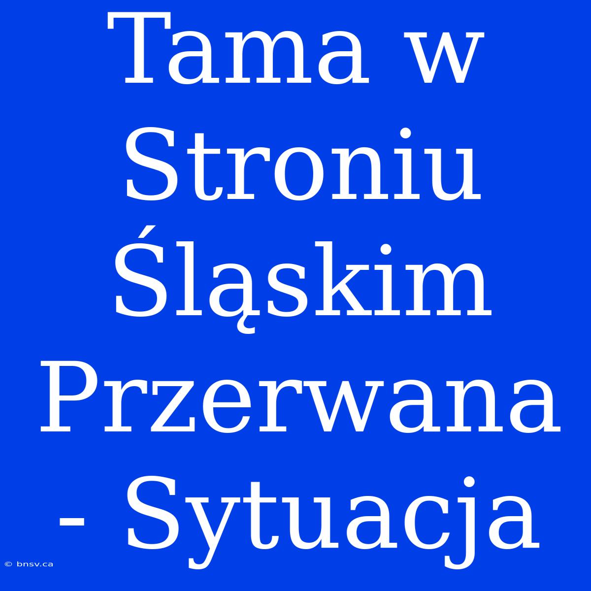 Tama W Stroniu Śląskim Przerwana - Sytuacja