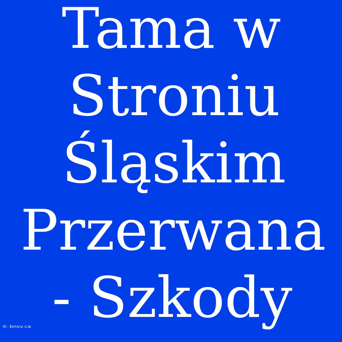 Tama W Stroniu Śląskim Przerwana - Szkody