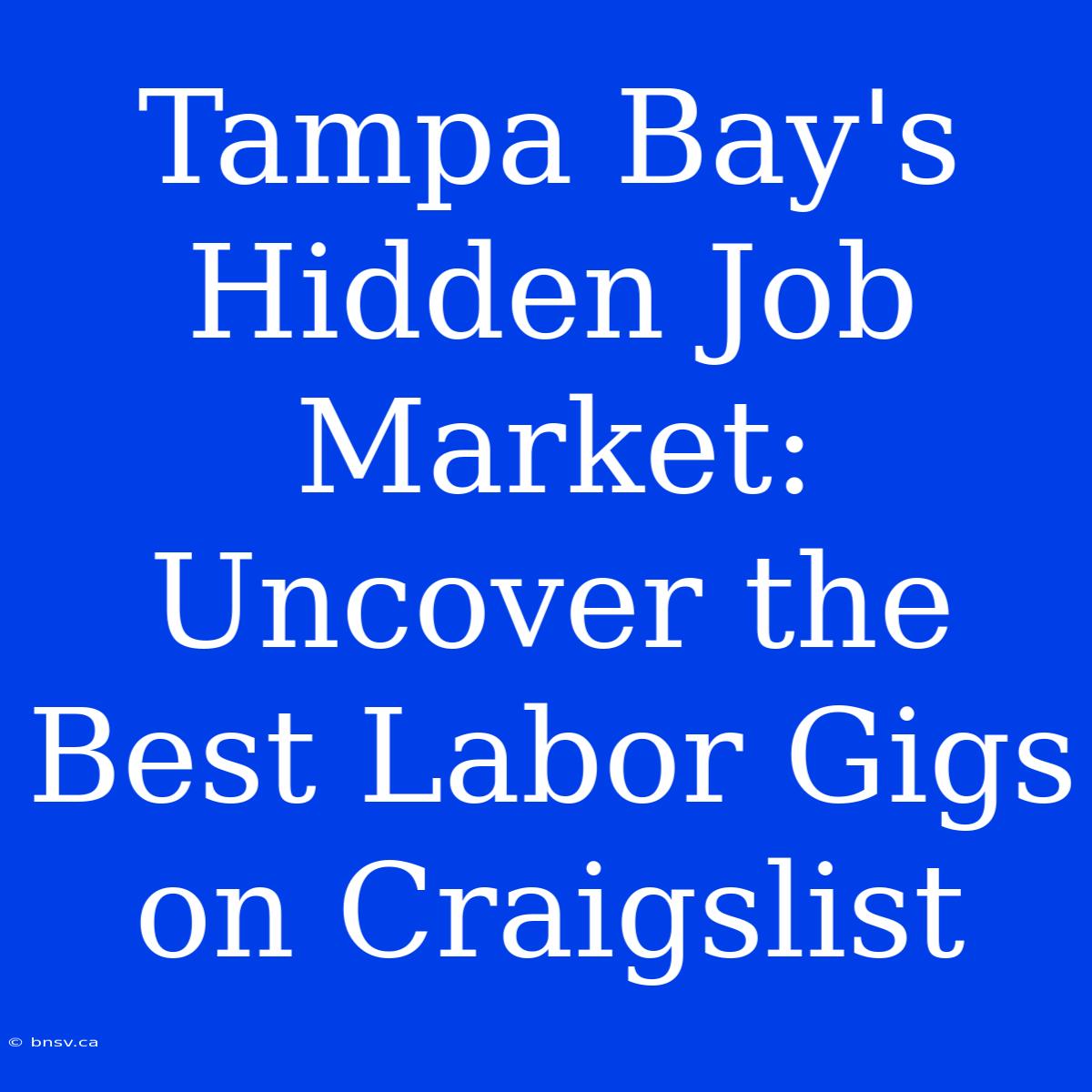 Tampa Bay's Hidden Job Market: Uncover The Best Labor Gigs On Craigslist