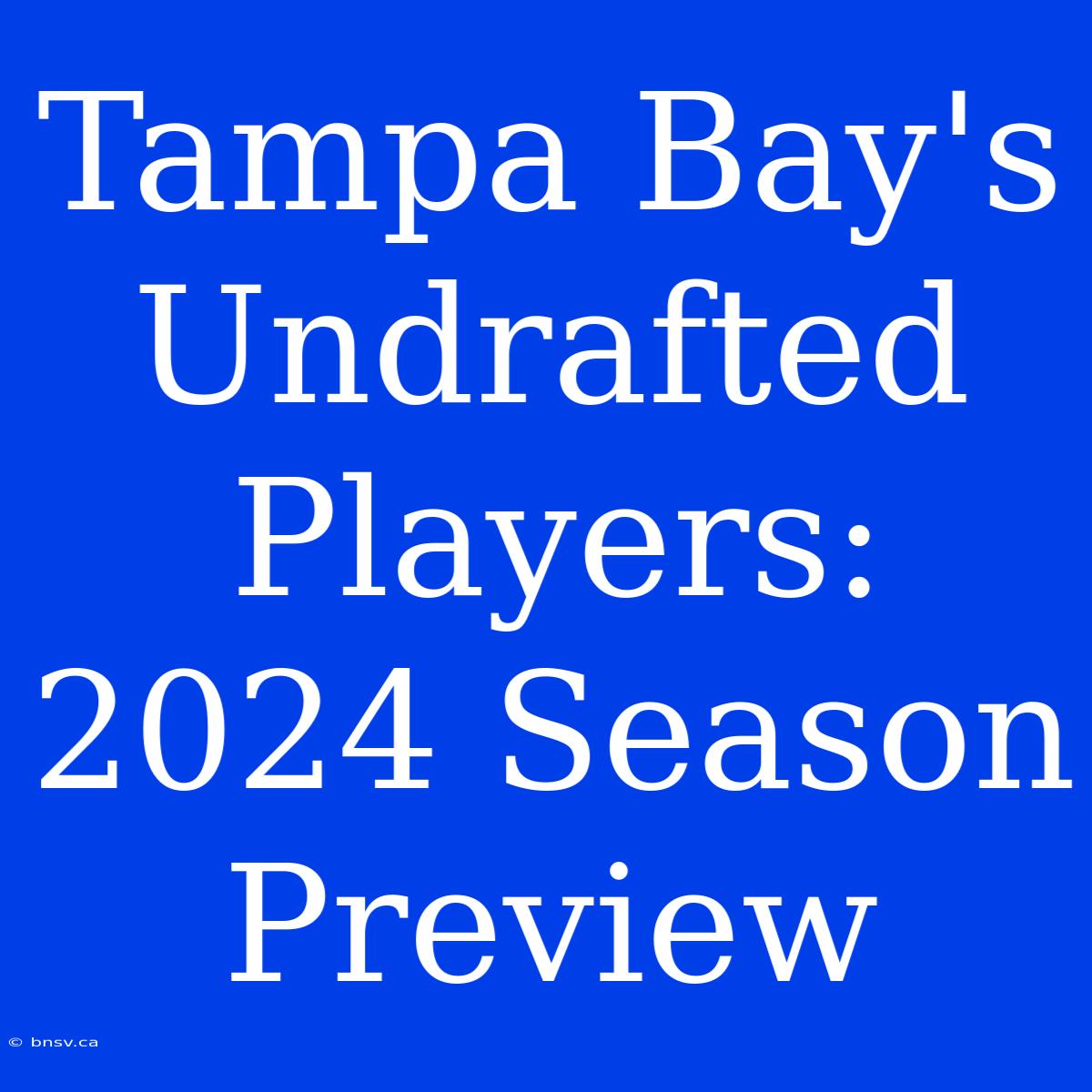 Tampa Bay's Undrafted Players: 2024 Season Preview