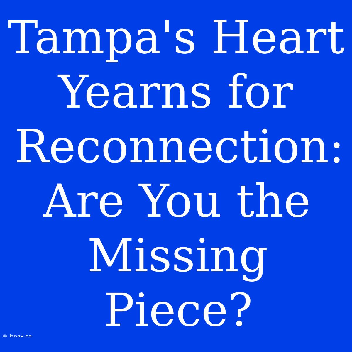 Tampa's Heart Yearns For Reconnection: Are You The Missing Piece?