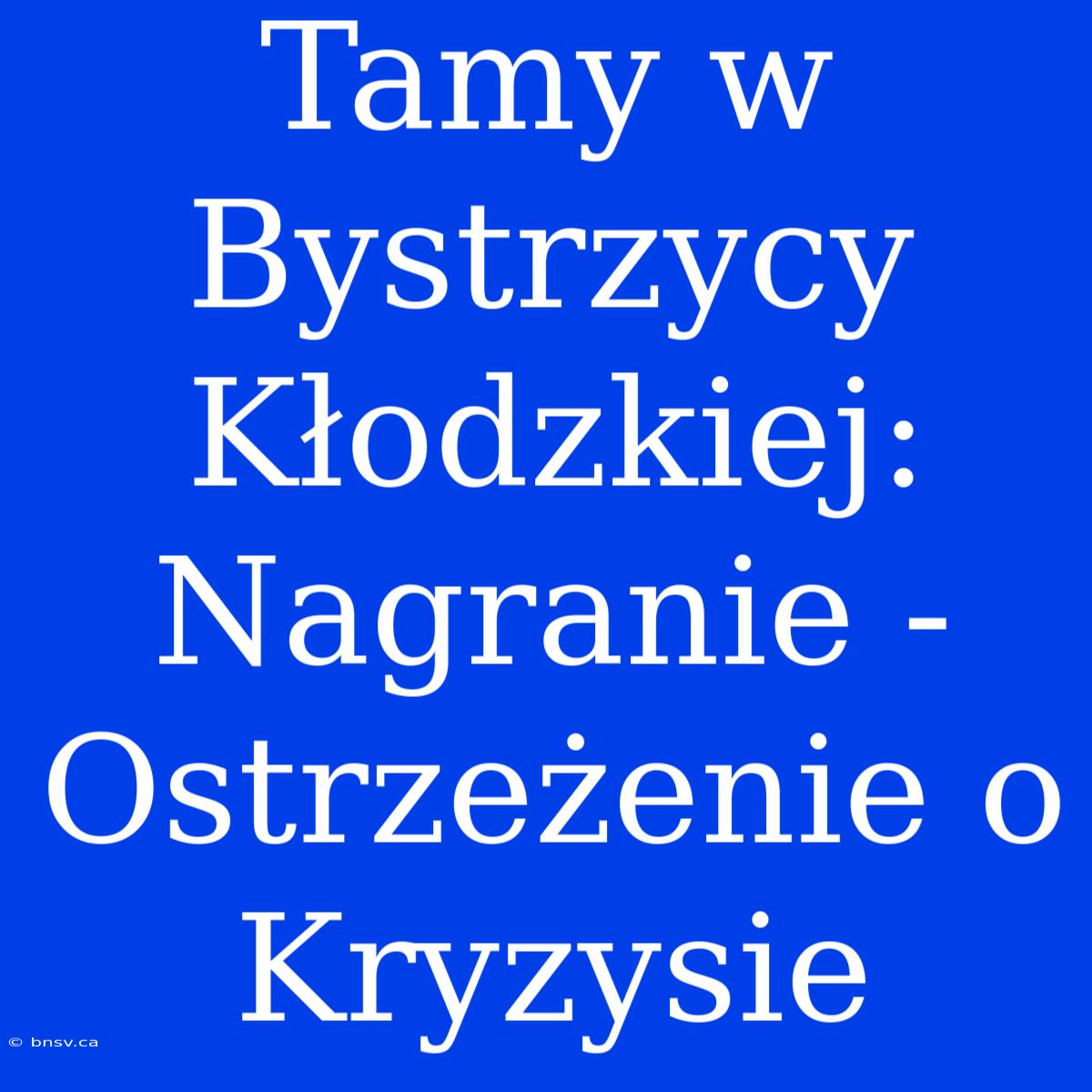 Tamy W Bystrzycy Kłodzkiej: Nagranie - Ostrzeżenie O Kryzysie