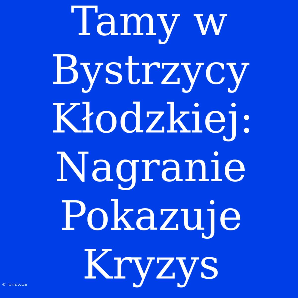 Tamy W Bystrzycy Kłodzkiej: Nagranie Pokazuje Kryzys