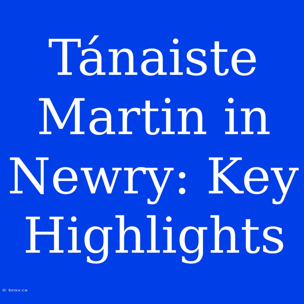 Tánaiste Martin In Newry: Key Highlights