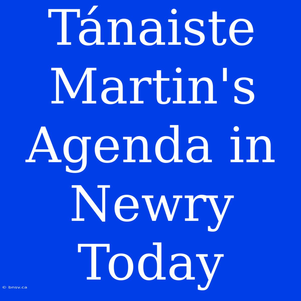 Tánaiste Martin's Agenda In Newry Today