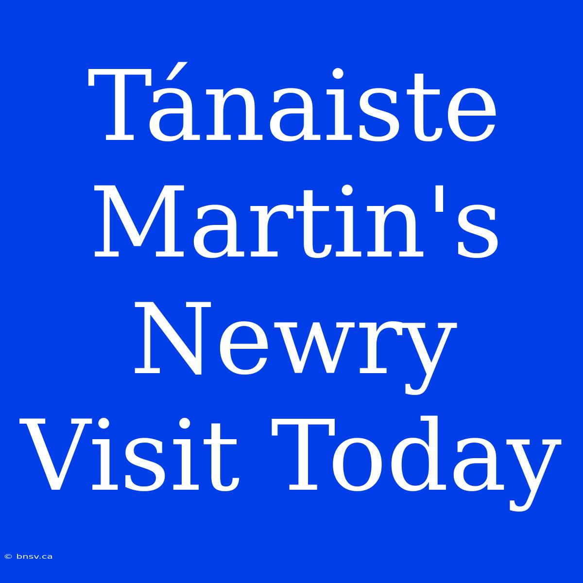 Tánaiste Martin's Newry Visit Today