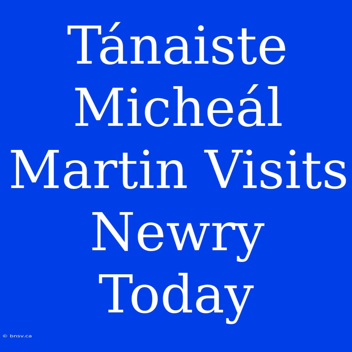 Tánaiste Micheál Martin Visits Newry Today