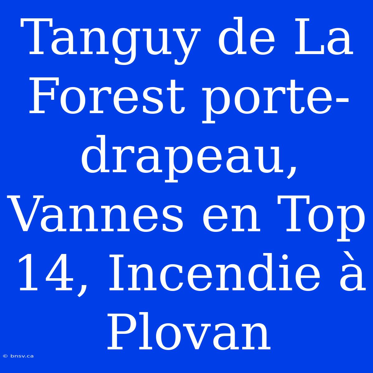 Tanguy De La Forest Porte-drapeau, Vannes En Top 14, Incendie À Plovan