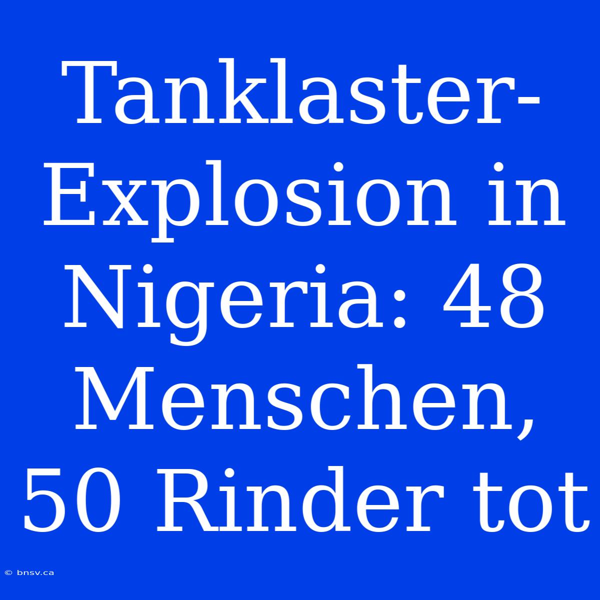 Tanklaster-Explosion In Nigeria: 48 Menschen, 50 Rinder Tot