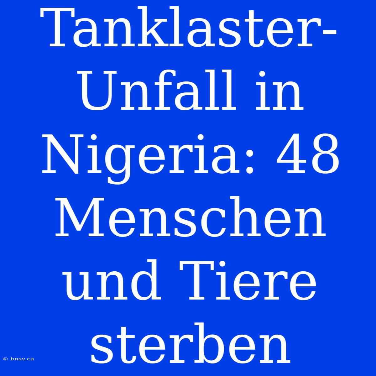 Tanklaster-Unfall In Nigeria: 48 Menschen Und Tiere Sterben