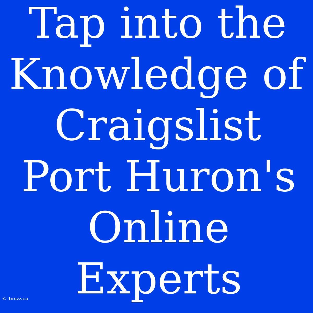 Tap Into The Knowledge Of Craigslist Port Huron's Online Experts