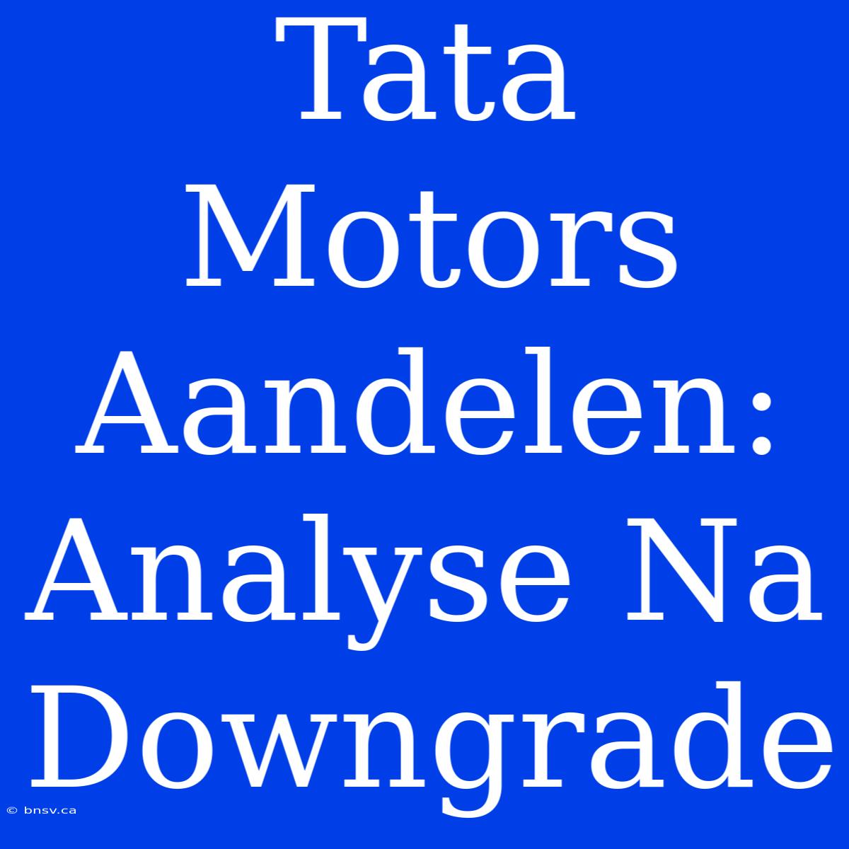 Tata Motors Aandelen: Analyse Na Downgrade