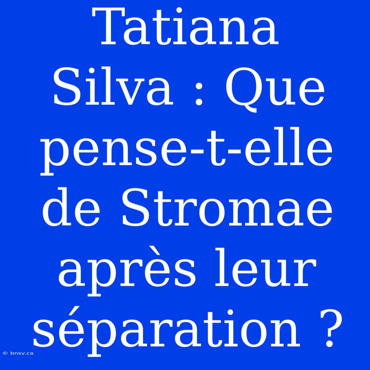 Tatiana Silva : Que Pense-t-elle De Stromae Après Leur Séparation ?