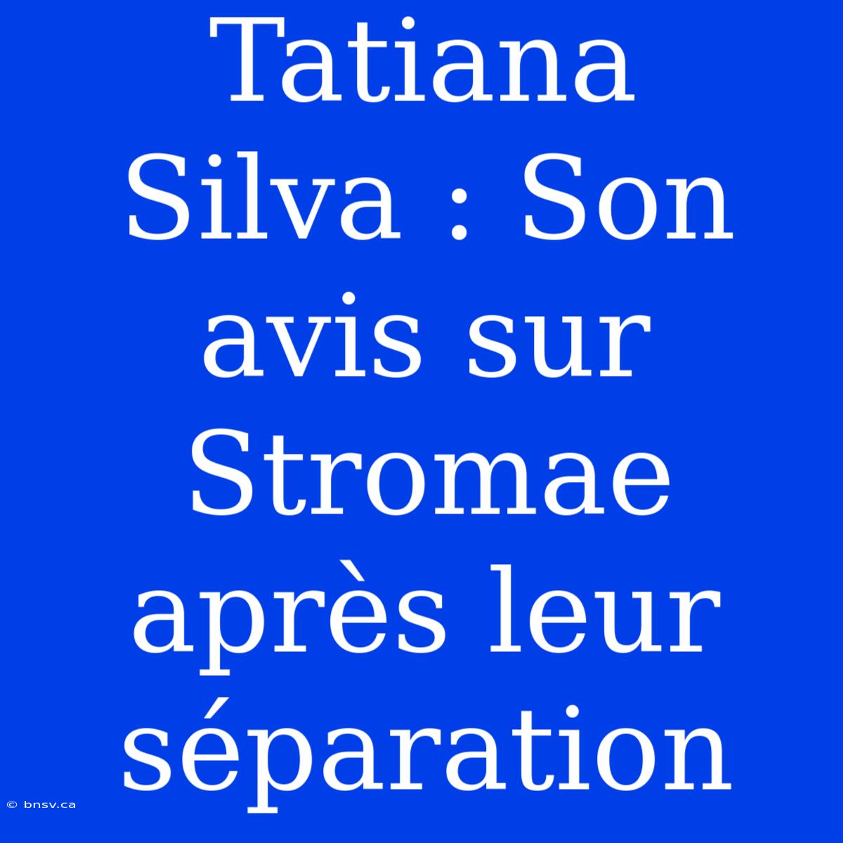 Tatiana Silva : Son Avis Sur Stromae Après Leur Séparation