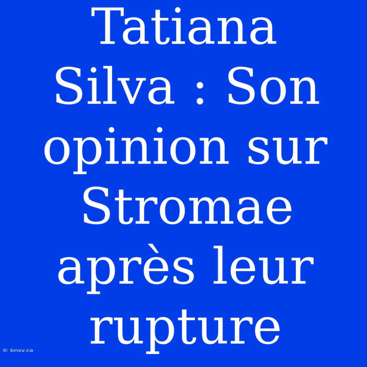 Tatiana Silva : Son Opinion Sur Stromae Après Leur Rupture