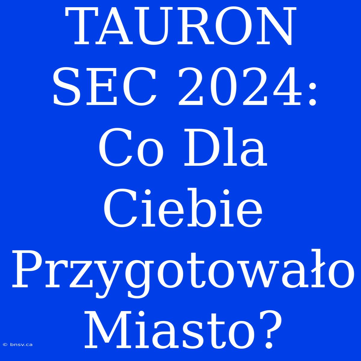 TAURON SEC 2024: Co Dla Ciebie Przygotowało Miasto?