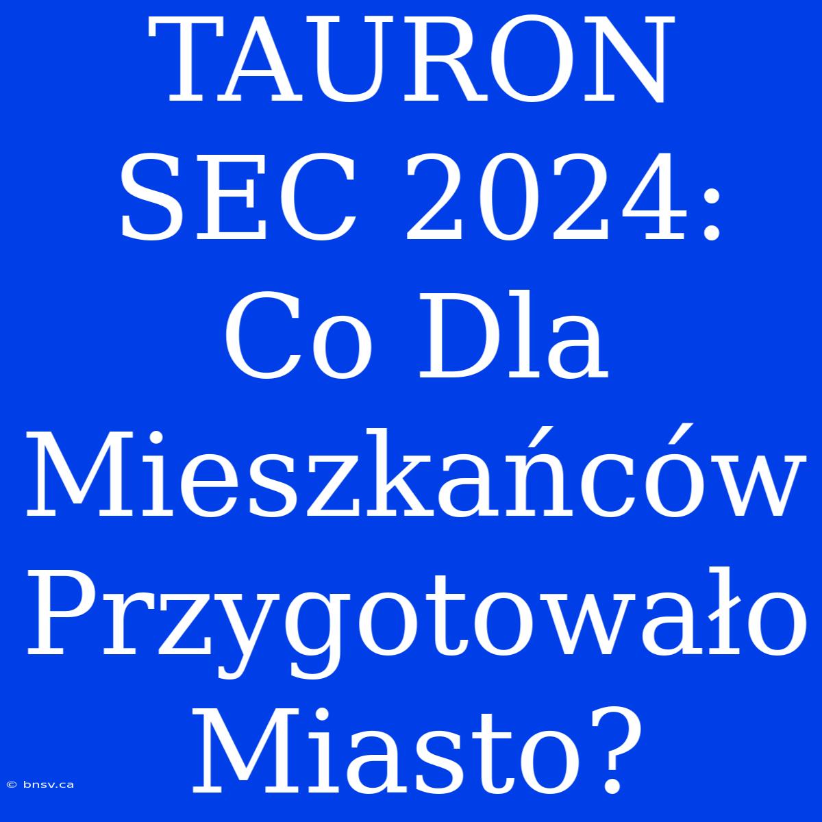 TAURON SEC 2024: Co Dla Mieszkańców Przygotowało Miasto?