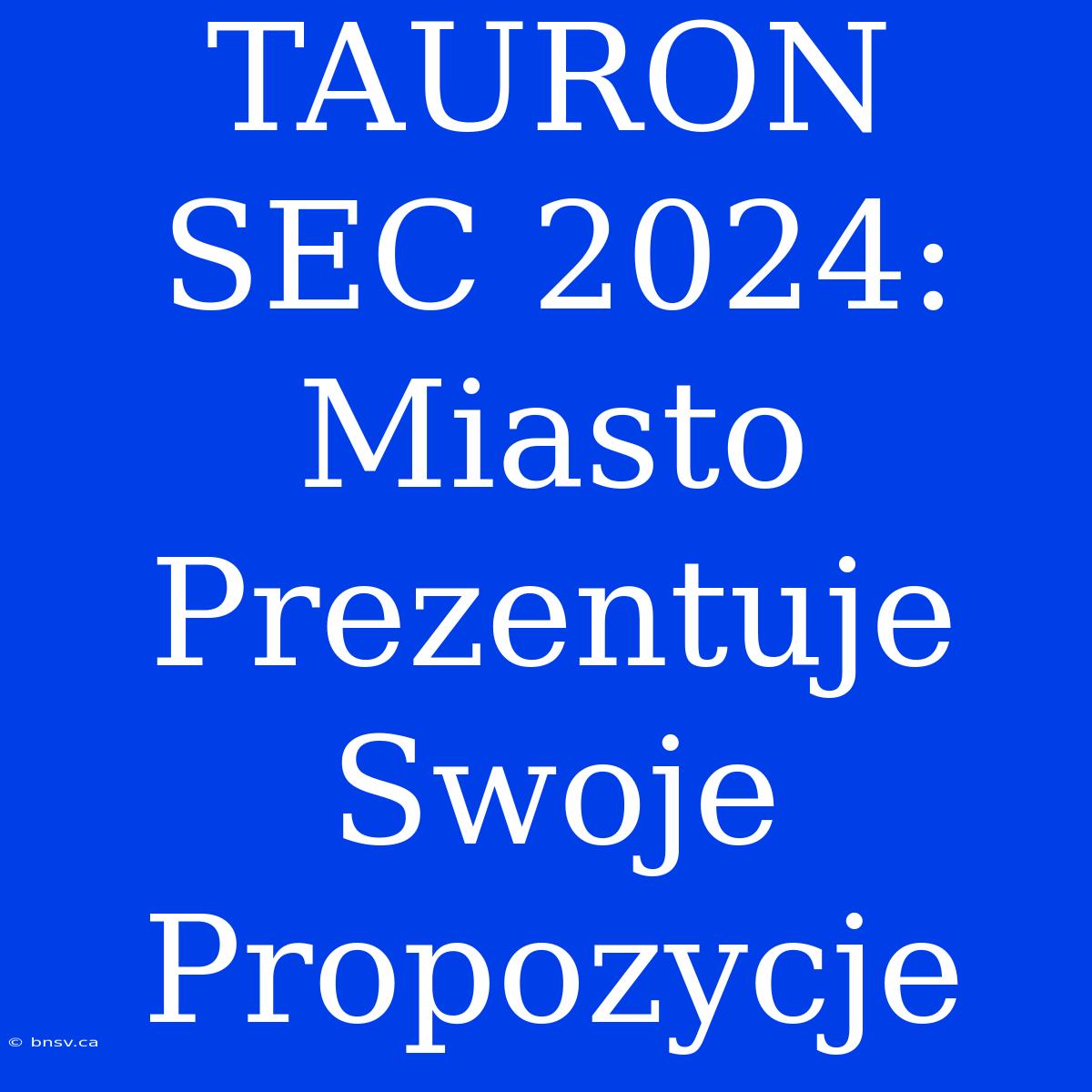 TAURON SEC 2024: Miasto Prezentuje Swoje Propozycje