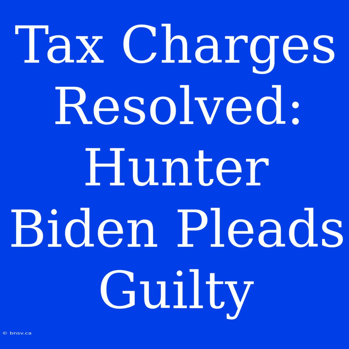 Tax Charges Resolved: Hunter Biden Pleads Guilty