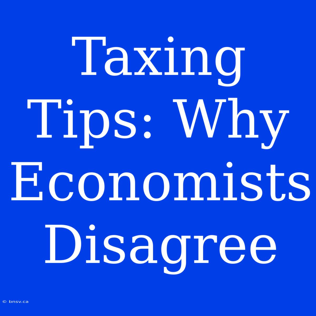 Taxing Tips: Why Economists Disagree