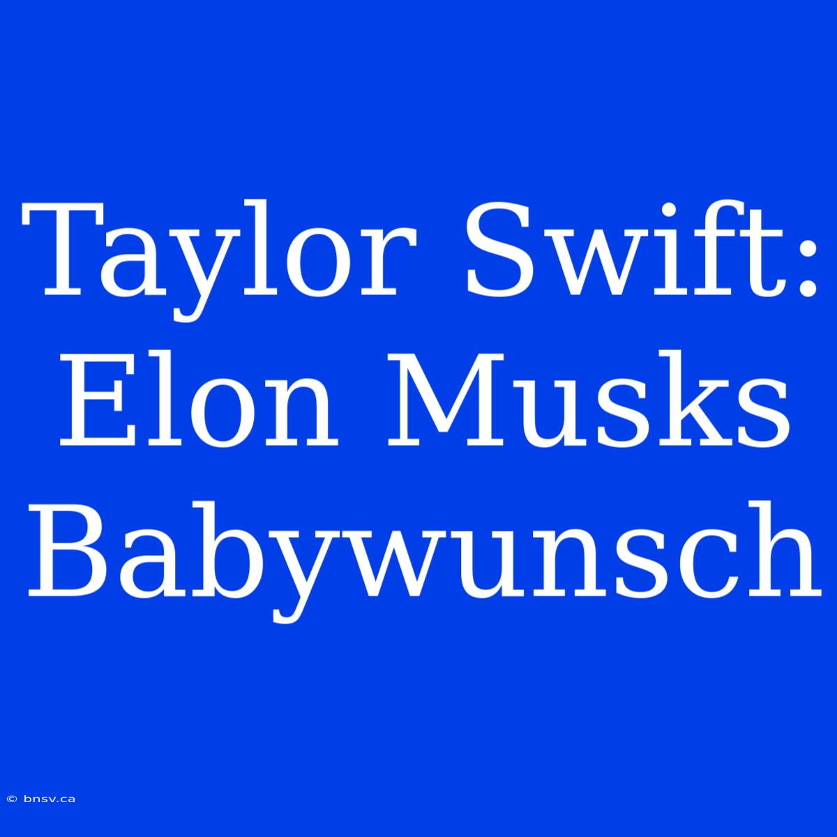 Taylor Swift: Elon Musks Babywunsch