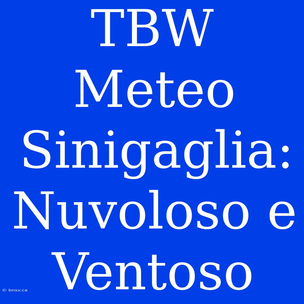 TBW Meteo Sinigaglia: Nuvoloso E Ventoso