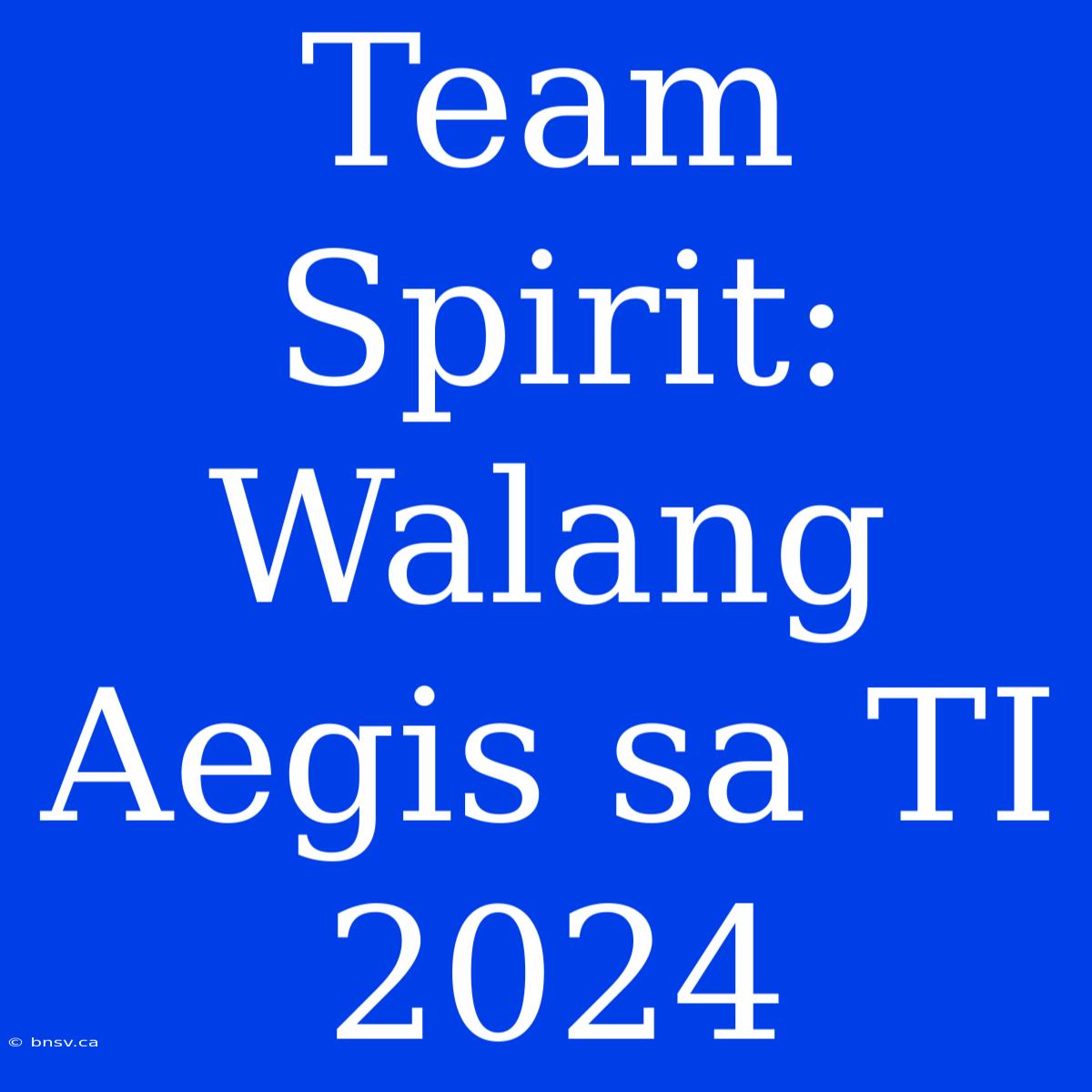 Team Spirit: Walang Aegis Sa TI 2024