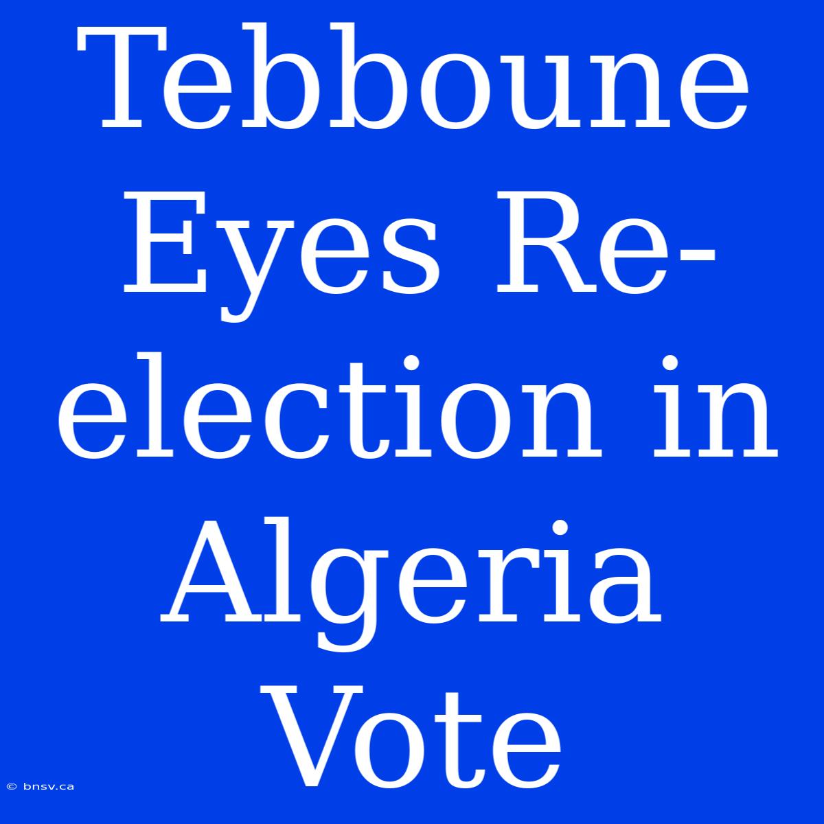 Tebboune Eyes Re-election In Algeria Vote