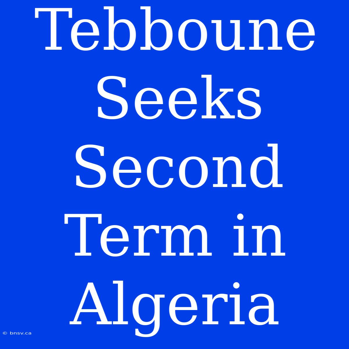 Tebboune Seeks Second Term In Algeria