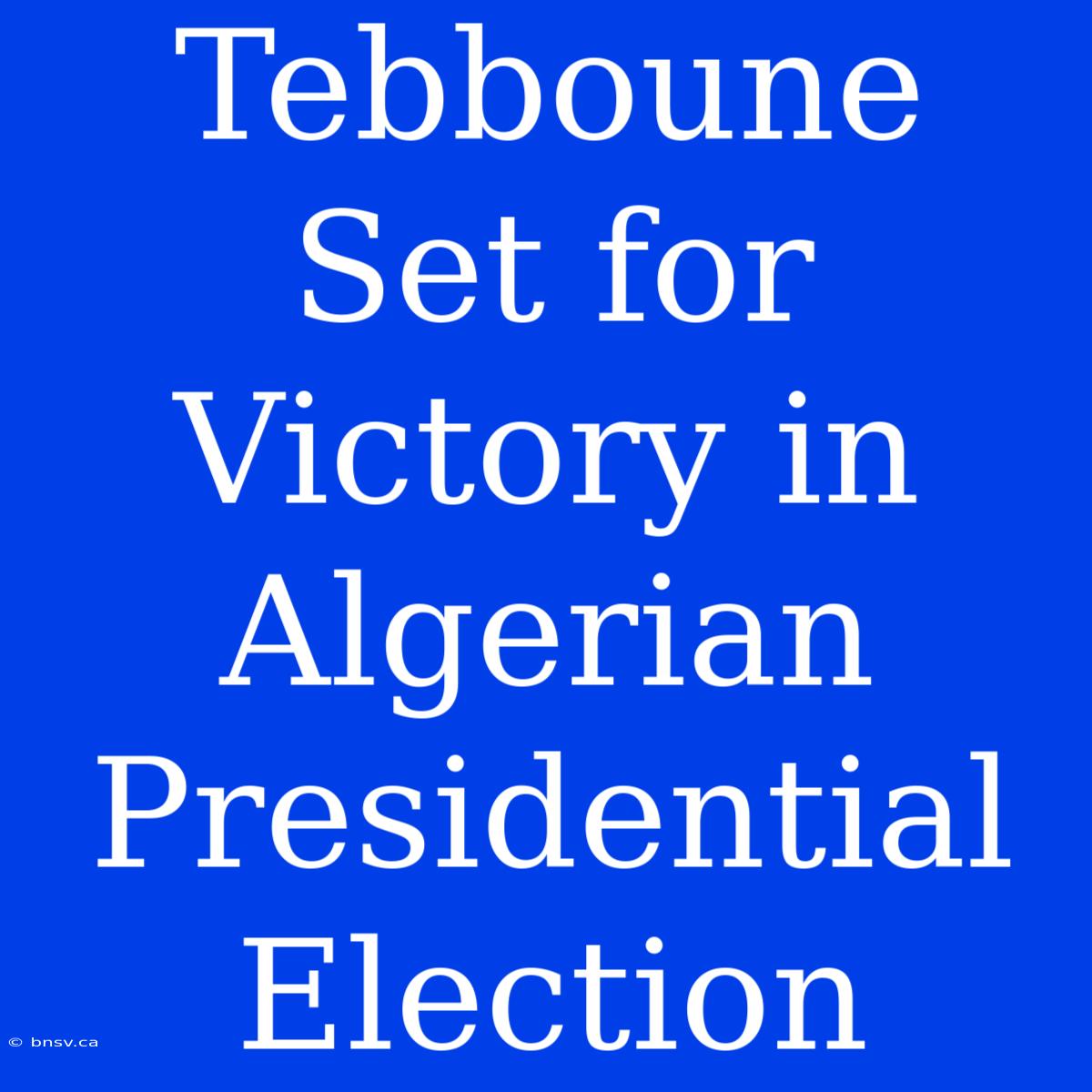 Tebboune Set For Victory In Algerian Presidential Election