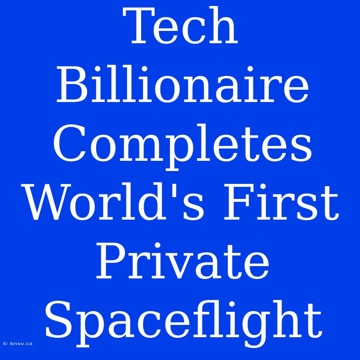 Tech Billionaire Completes World's First Private Spaceflight