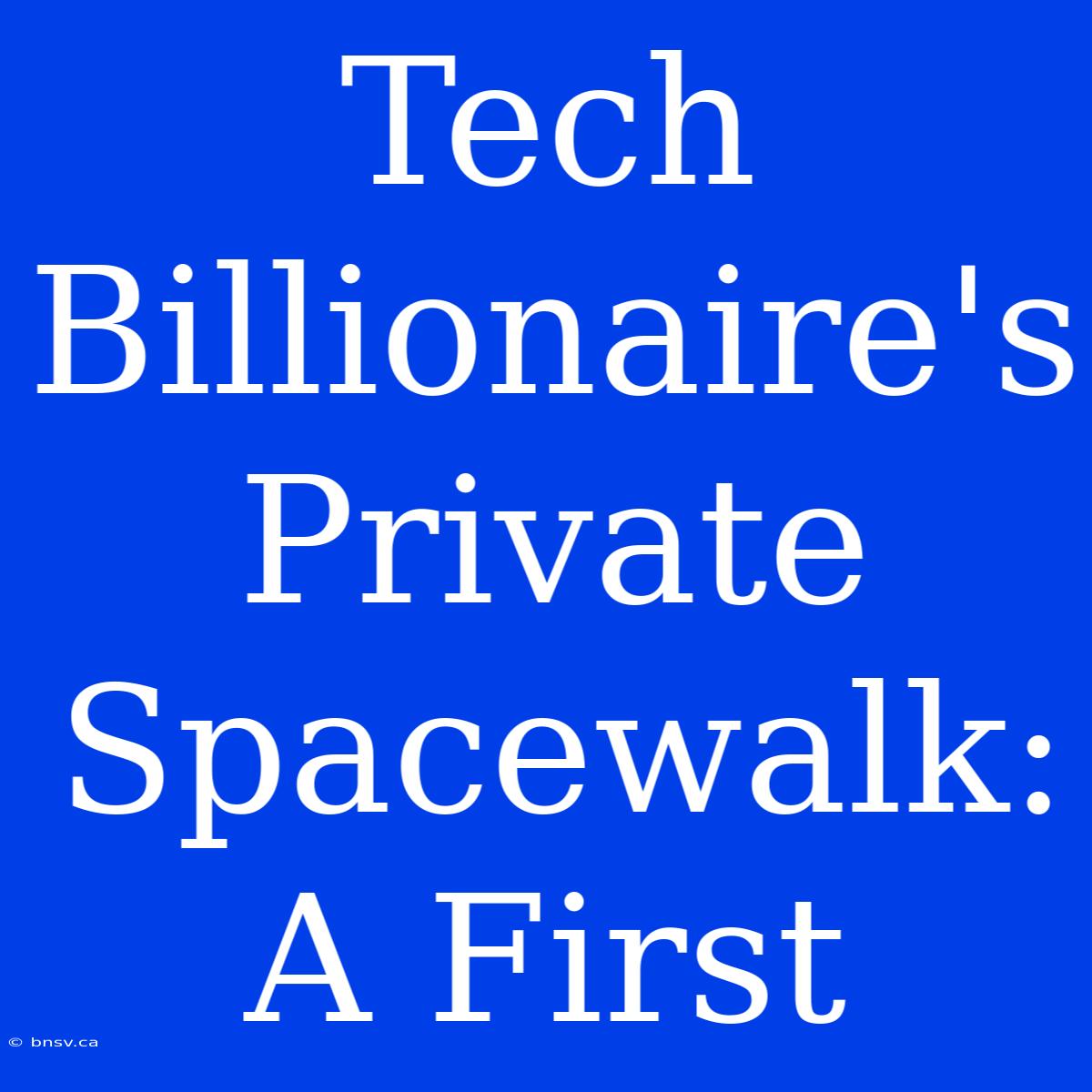 Tech Billionaire's Private Spacewalk: A First