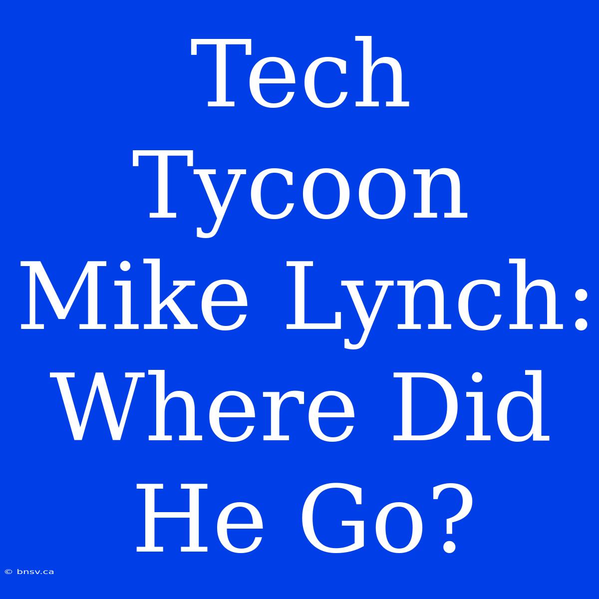 Tech Tycoon Mike Lynch: Where Did He Go?