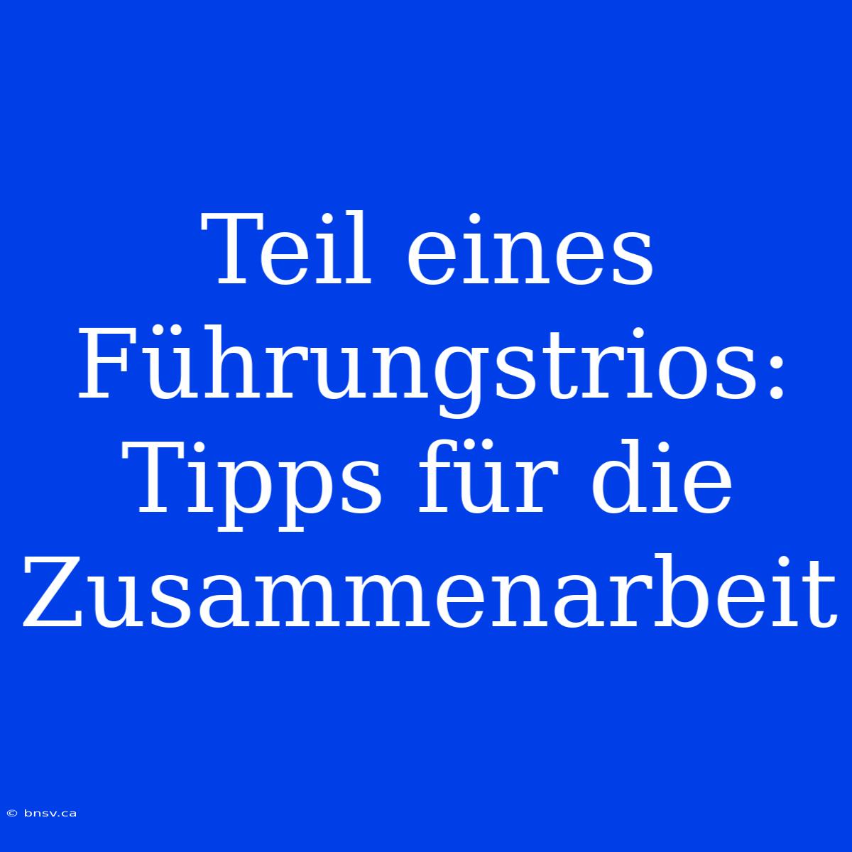 Teil Eines Führungstrios: Tipps Für Die Zusammenarbeit