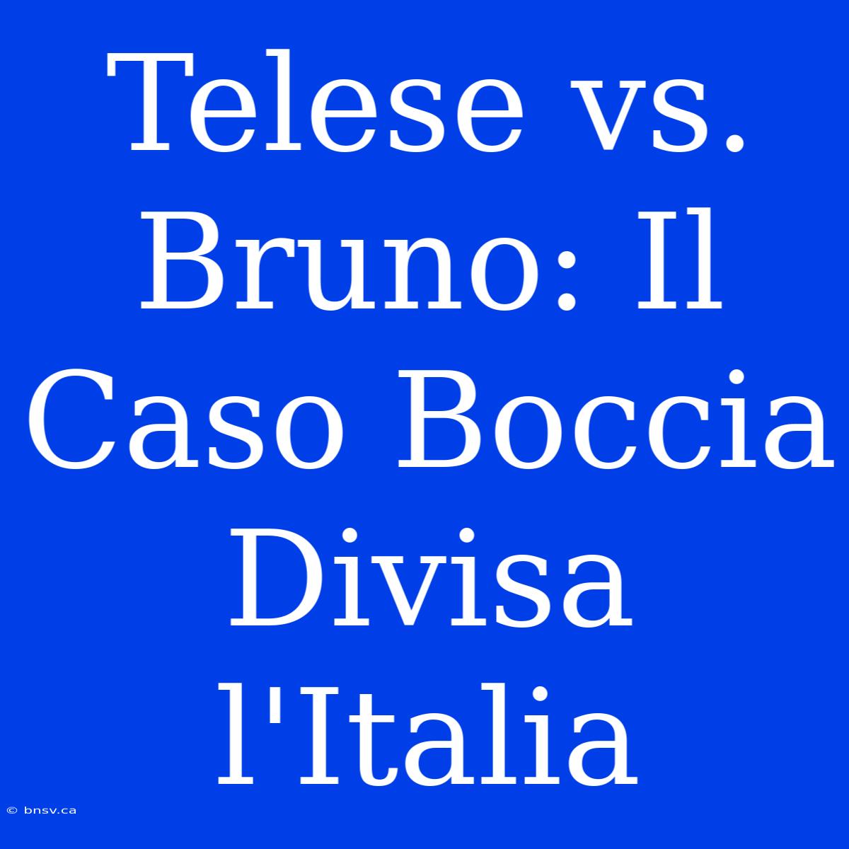 Telese Vs. Bruno: Il Caso Boccia Divisa L'Italia