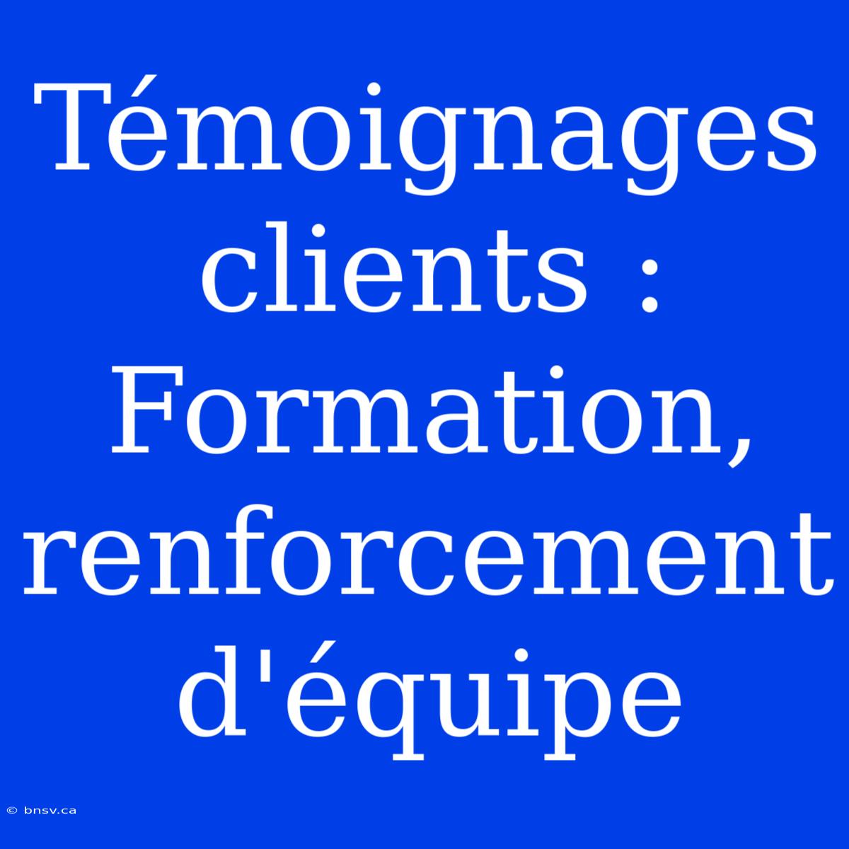 Témoignages Clients :  Formation,  Renforcement D'équipe