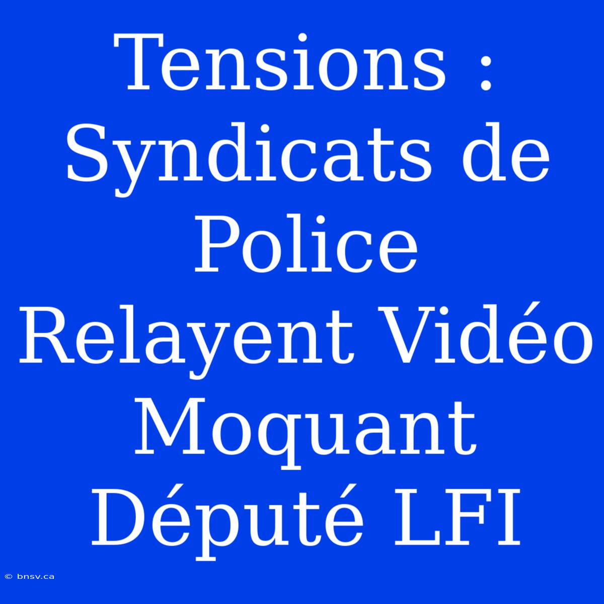 Tensions : Syndicats De Police Relayent Vidéo Moquant Député LFI