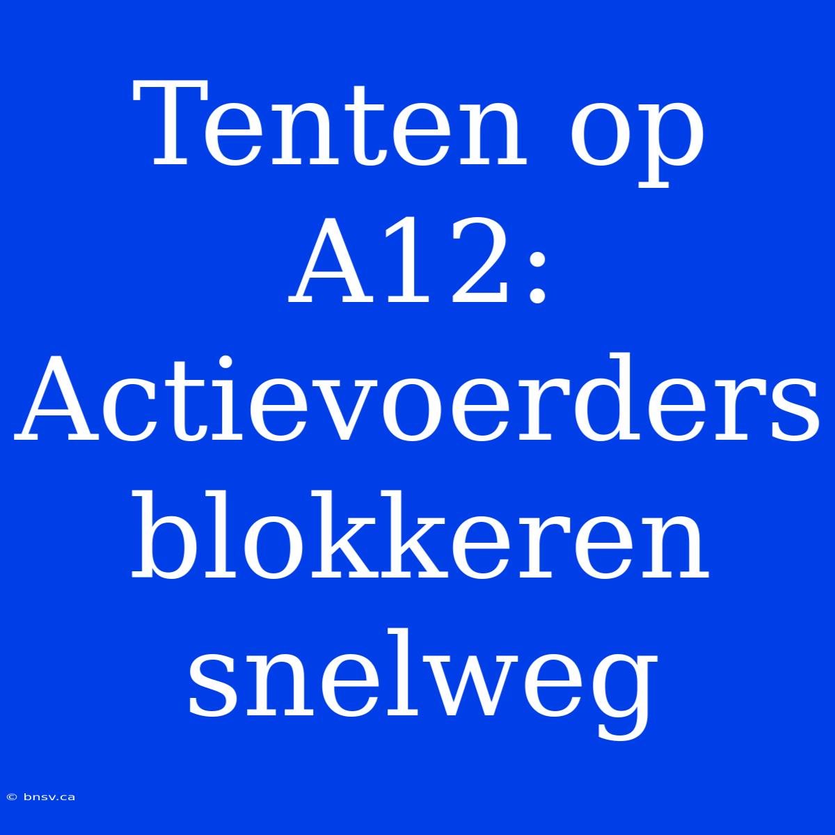 Tenten Op A12: Actievoerders Blokkeren Snelweg