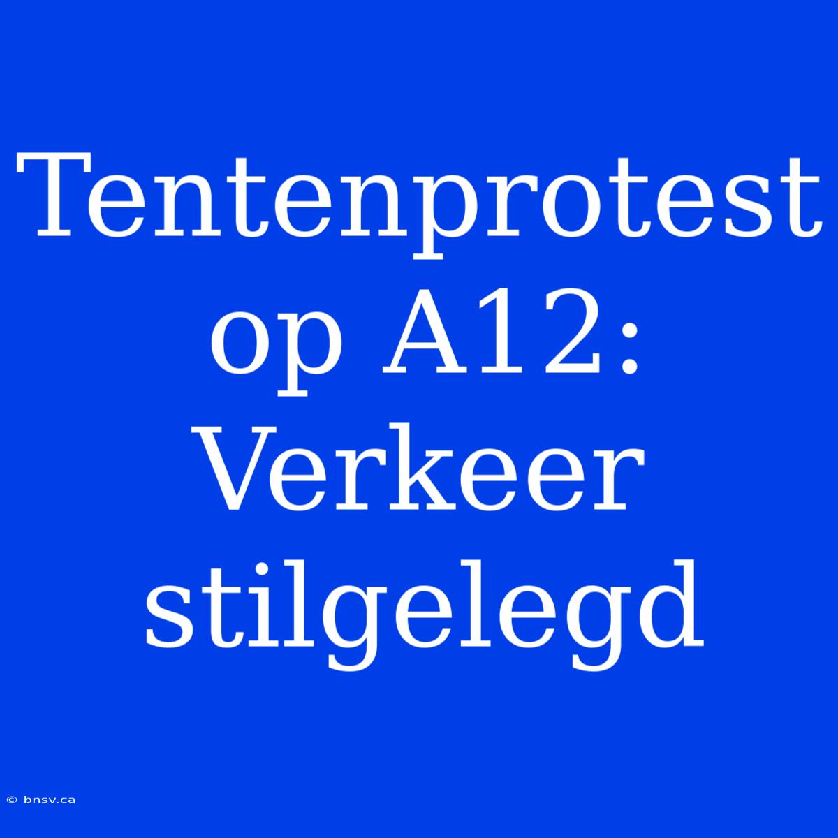 Tentenprotest Op A12: Verkeer Stilgelegd