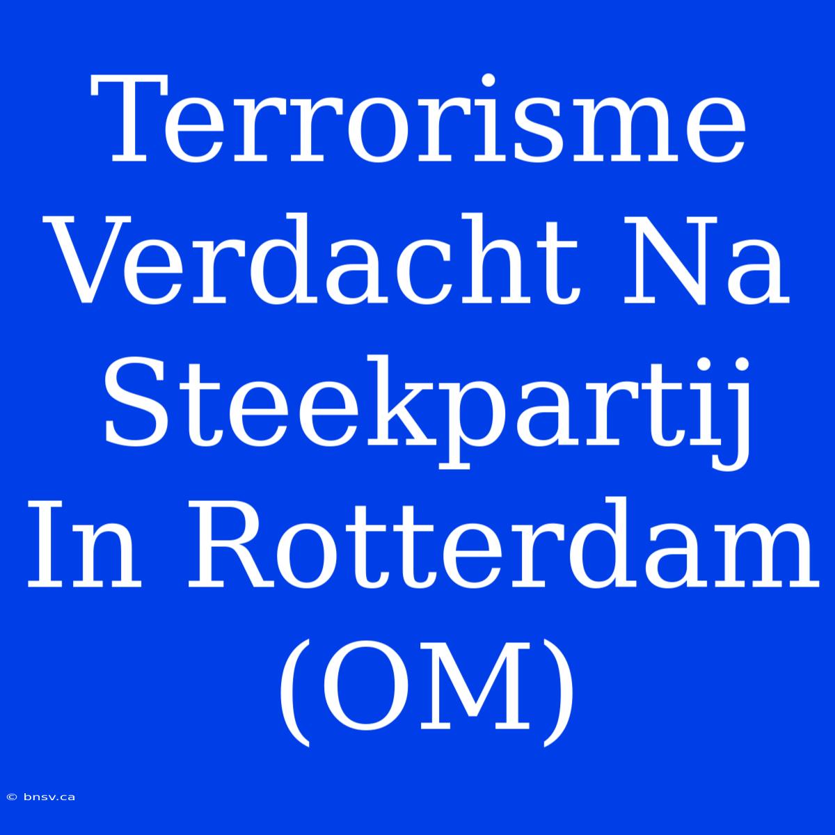 Terrorisme Verdacht Na Steekpartij In Rotterdam (OM)