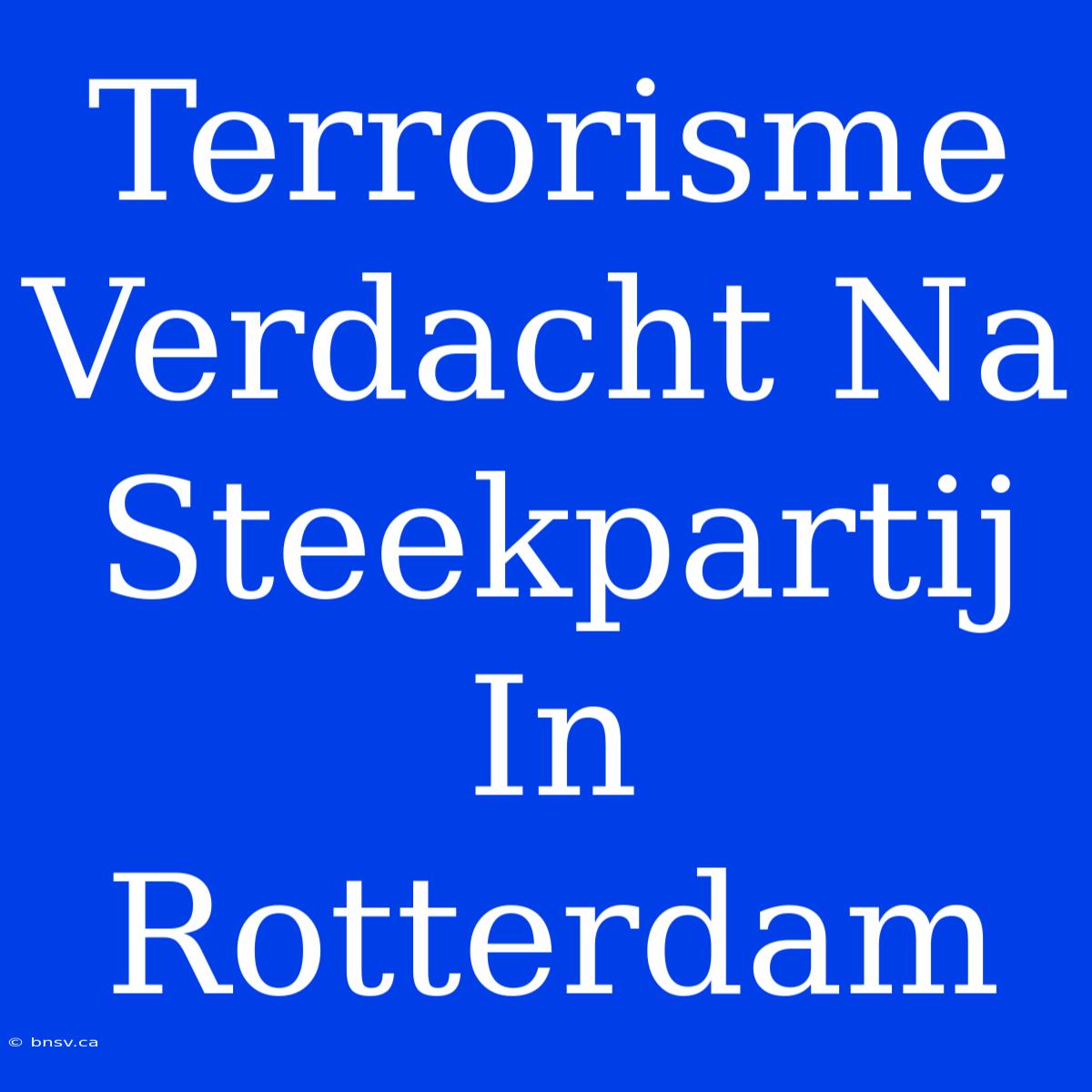 Terrorisme Verdacht Na Steekpartij In Rotterdam