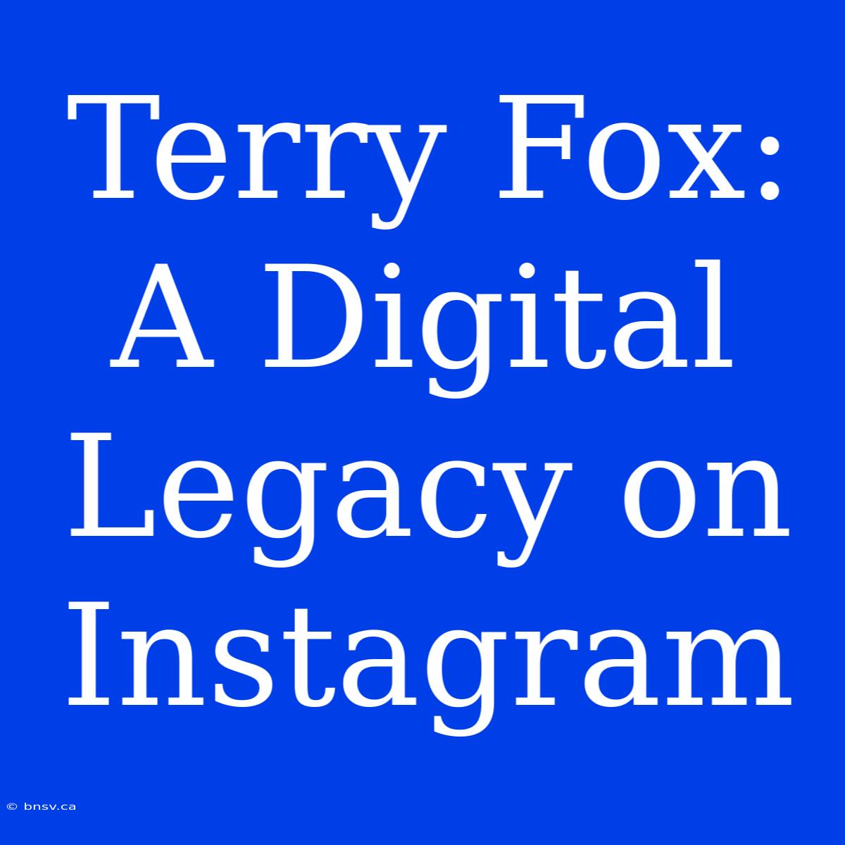 Terry Fox: A Digital Legacy On Instagram