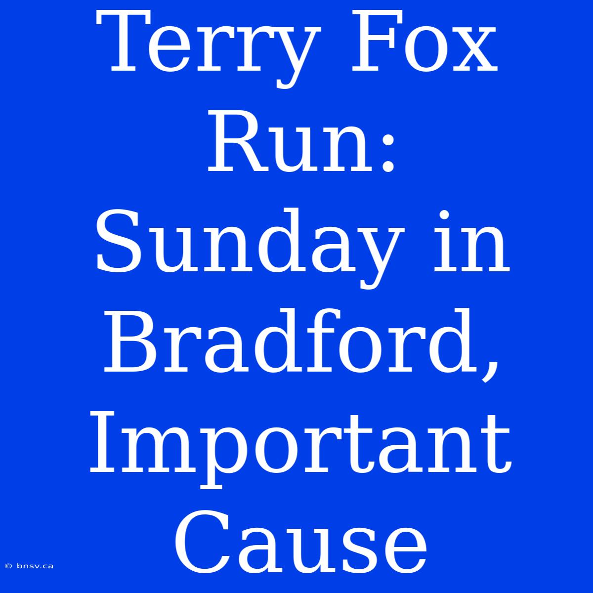 Terry Fox Run:  Sunday In Bradford,  Important Cause