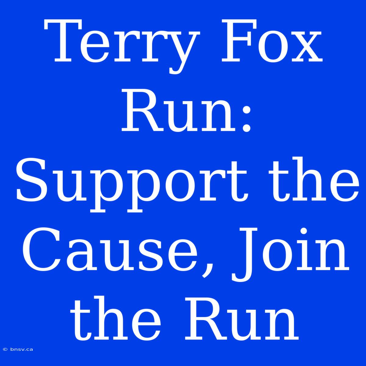 Terry Fox Run: Support The Cause, Join The Run