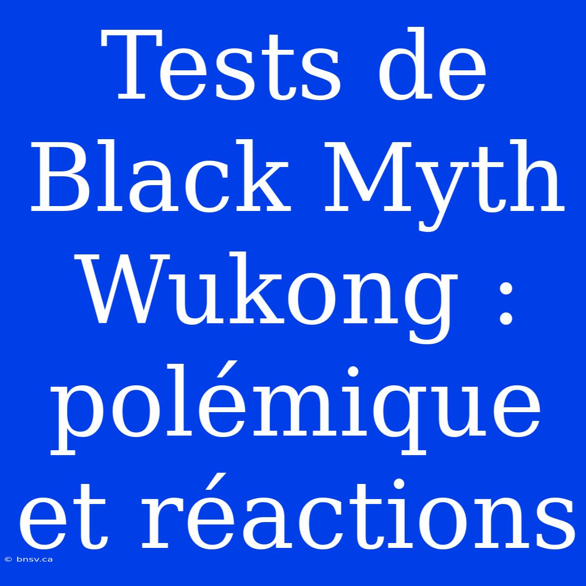 Tests De Black Myth Wukong : Polémique Et Réactions