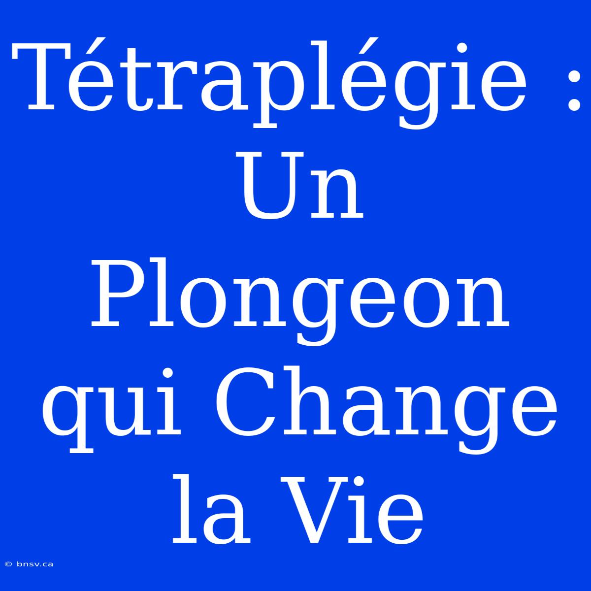 Tétraplégie : Un Plongeon Qui Change La Vie