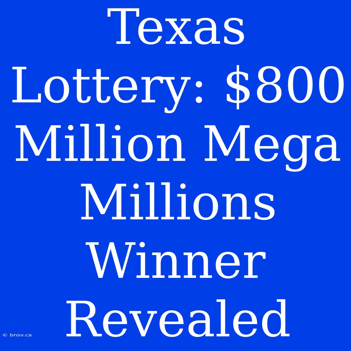 Texas Lottery: $800 Million Mega Millions Winner Revealed