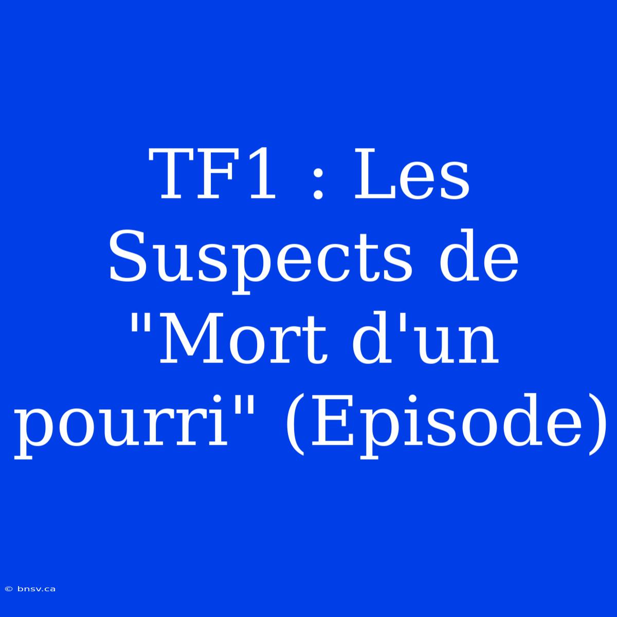 TF1 : Les Suspects De 